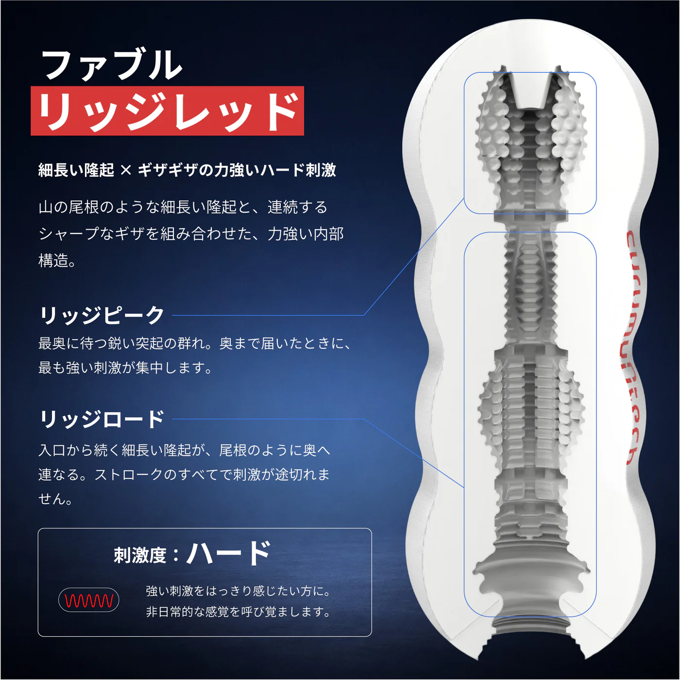 FABL RIDGE RED 内部構造